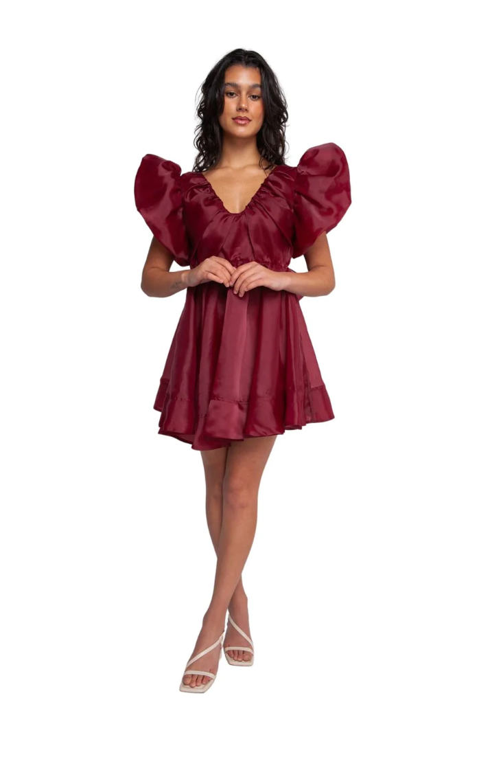gretta organza mini dress Aje Gretta Organza Mini Dress - Burgundy