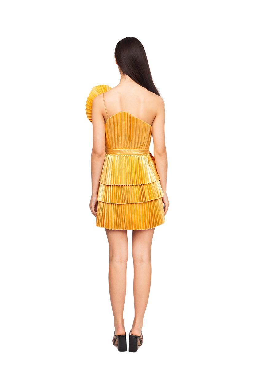 Abbotsford Mini Dress