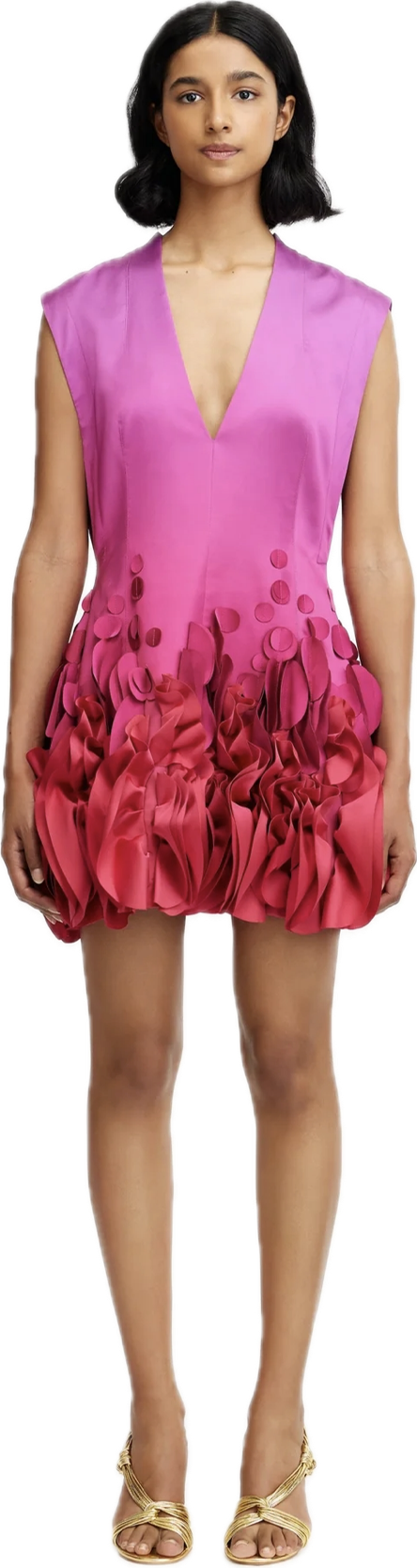 Surrey Mini Dress