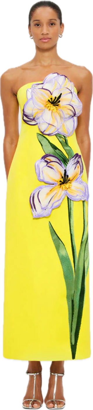 Rayna Appliqué Floral Maxi Dress