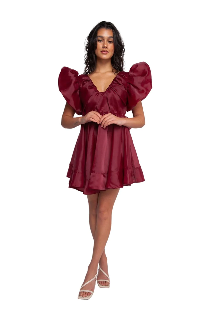 Gretta Organza Mini Dress