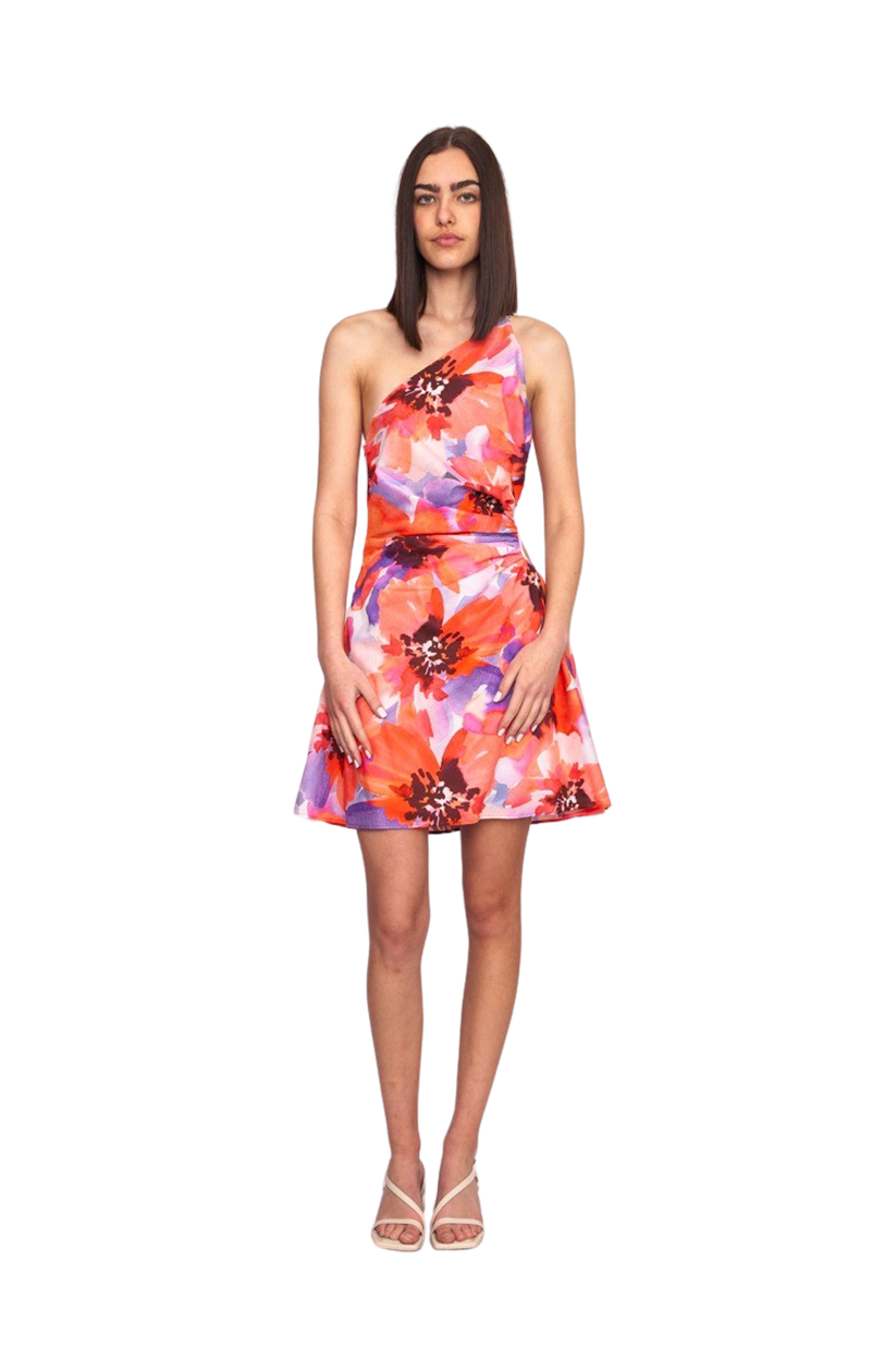 Bettina Cut Out Mini Dress Poppy Floral