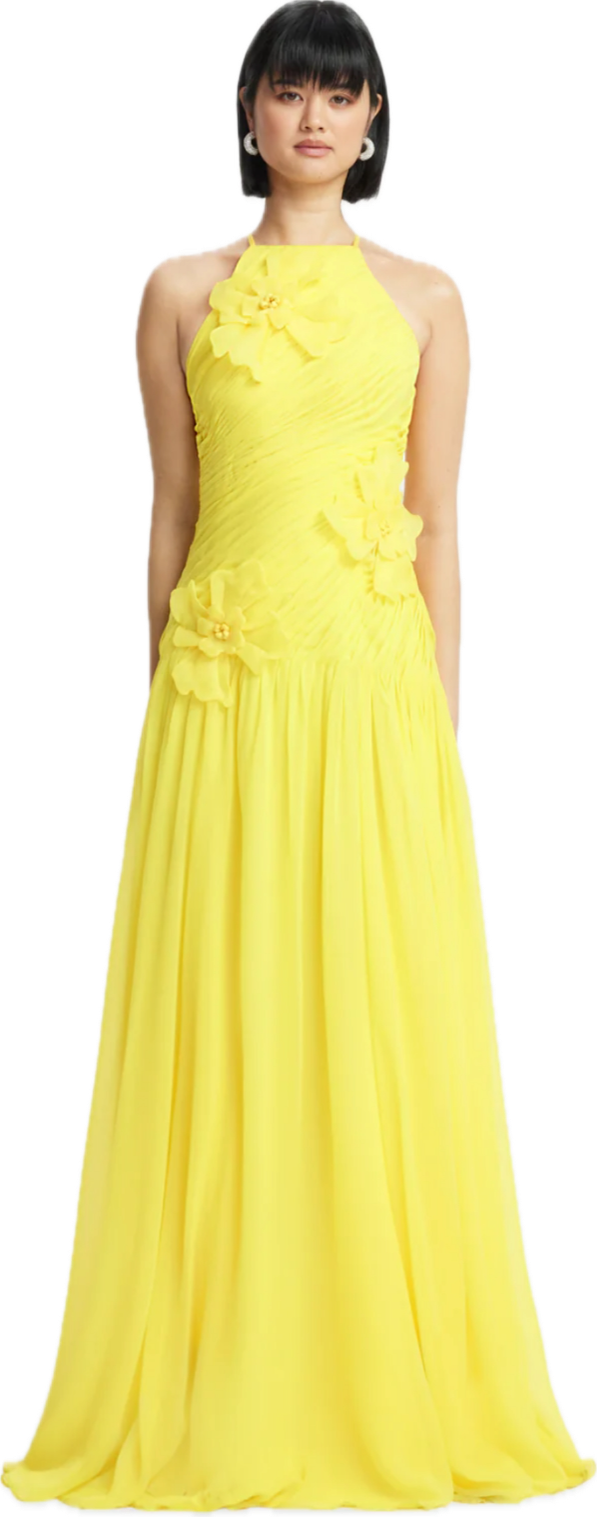 Amya Gown