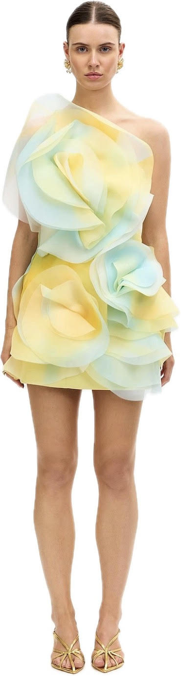 Cotwall Mini Dress