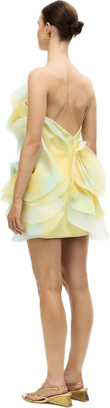Cotwall Mini Dress